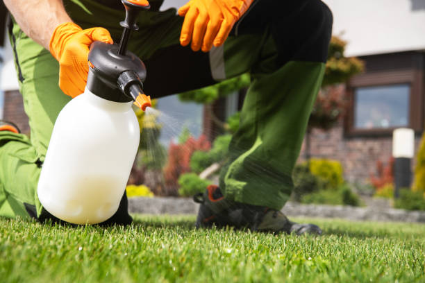 Best Mosquito Control Services  in Hypoluxo, FL