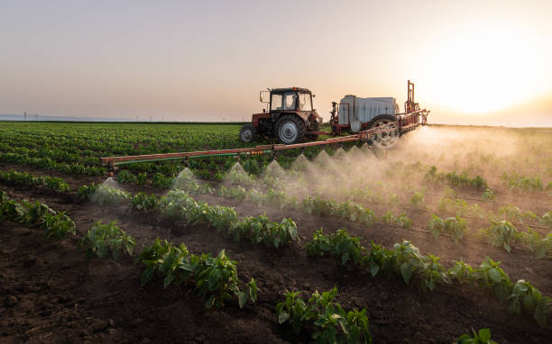 Best Commercial Pest Control Services  in Hypoluxo, FL